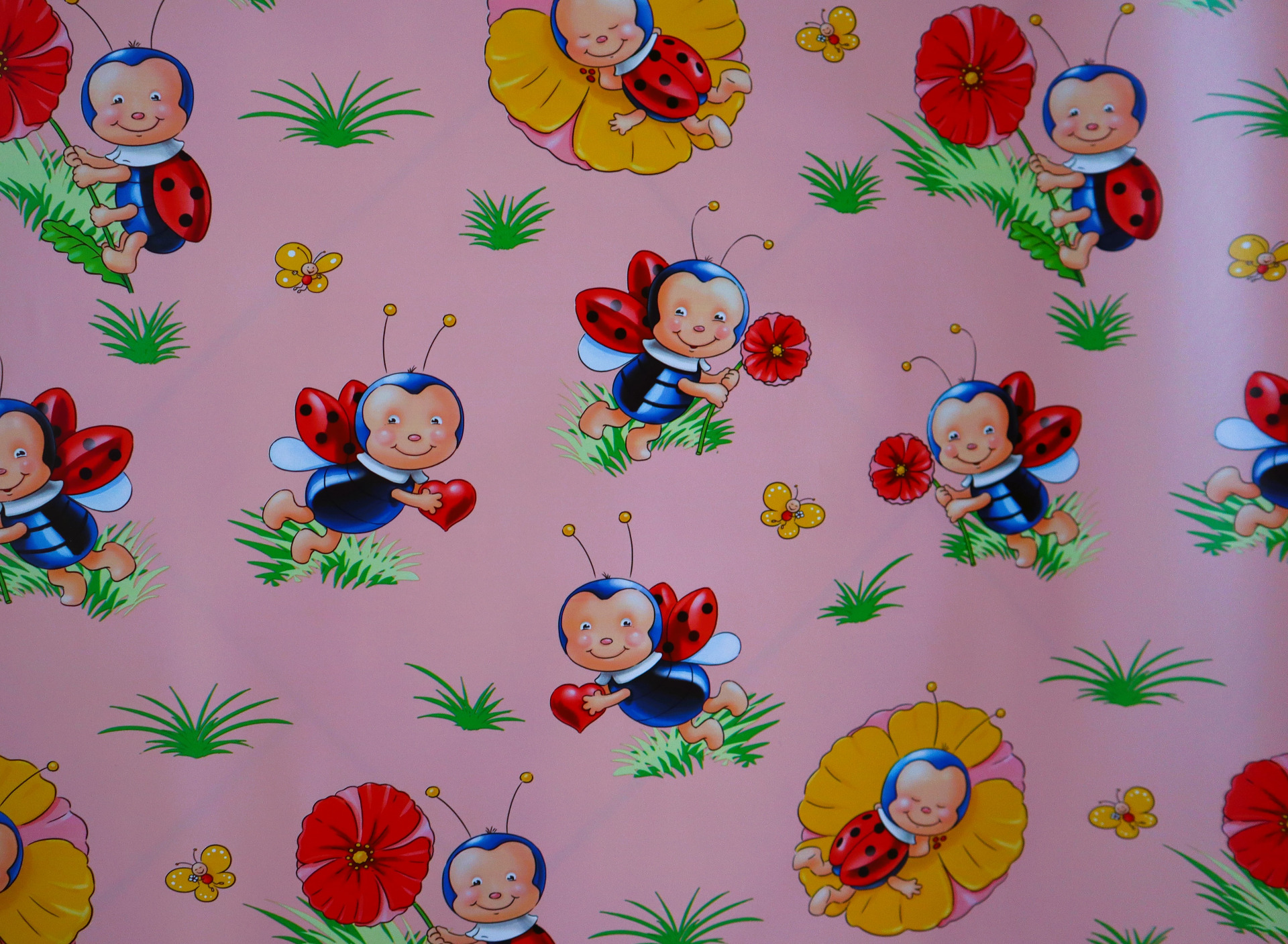 růžová slunéčka