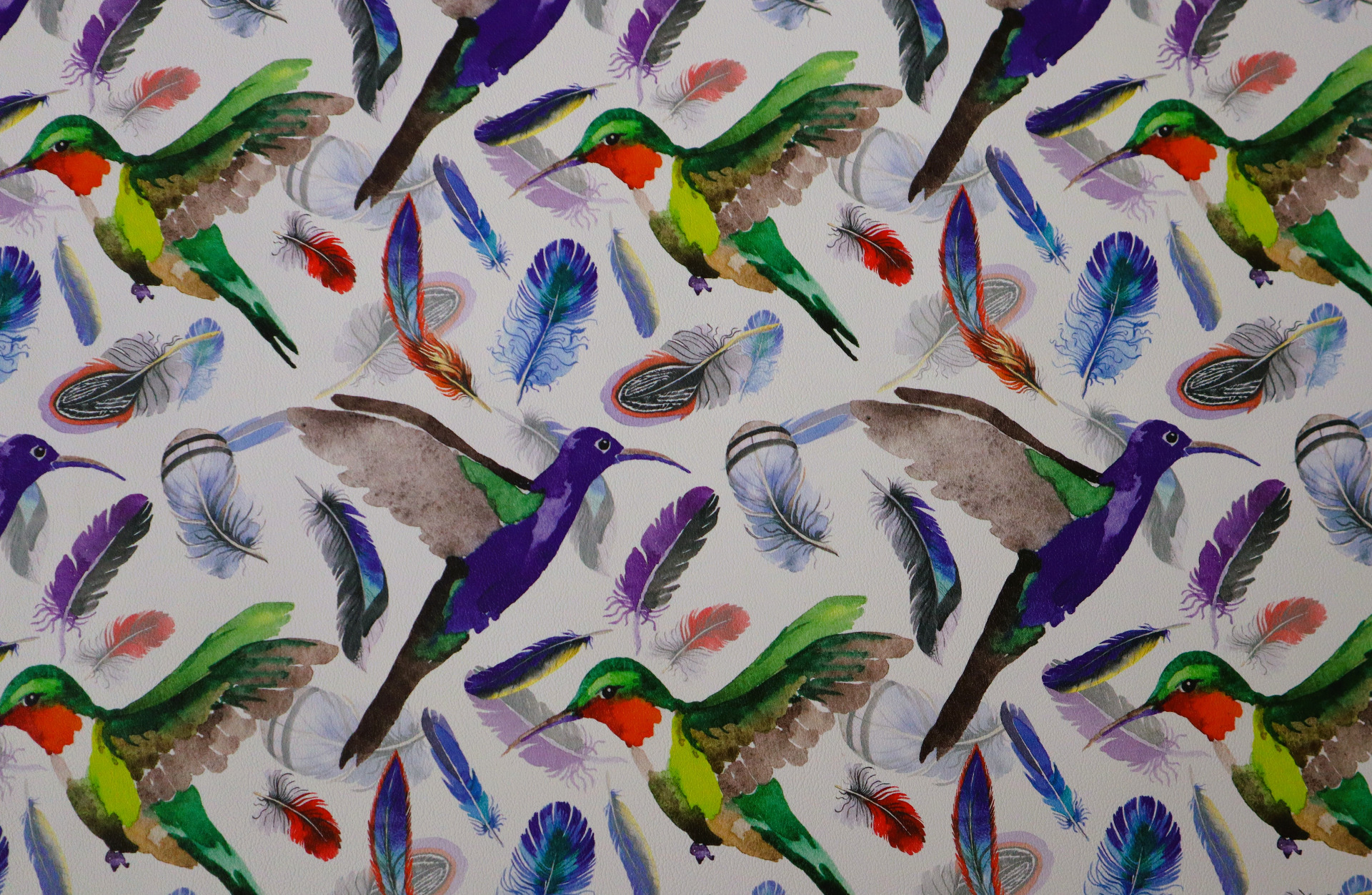 kolibříci na bílé